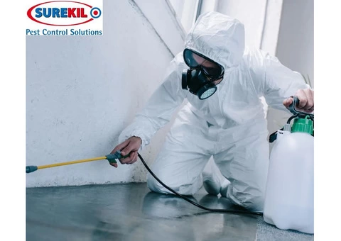 Say Goodbye to Bed Bugs with Surekil Pest Control Ltd - Your Trusted Pest Exterminators in London