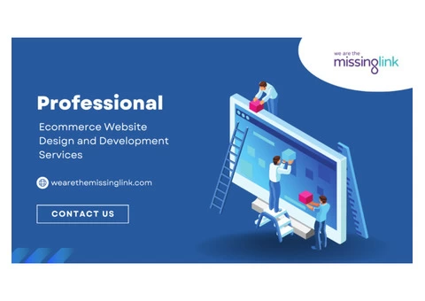 Professional Ecommerce Website Design and Development Services