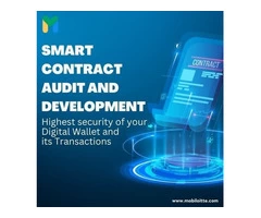 Skilled Developers for Smart Contract Development Services
