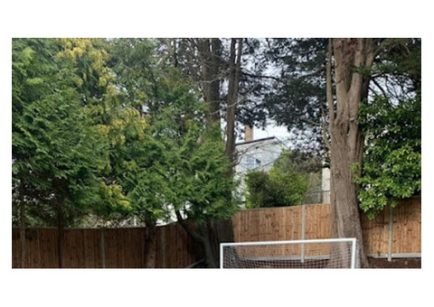 Best Garden Services in Welling