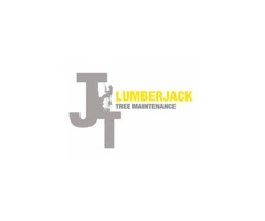 Get Affordable Tree Pruning Services from Lumberjack Tree Maintenance in Bromley