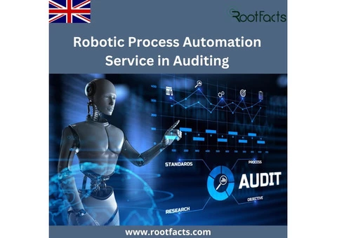Robotic Process Automation Service in Auditing - RPA