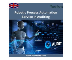 Robotic Process Automation Service in Auditing - RPA