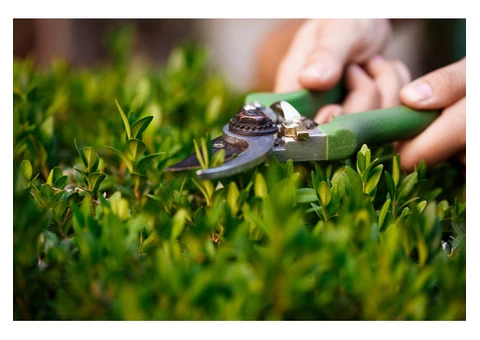 Get Beautiful Lawns with Artificial Grass from Groundcare in Leeds - 2/2
