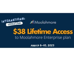 Moolahmore Cash Flow Tool - Women's Month Sale (Extended)