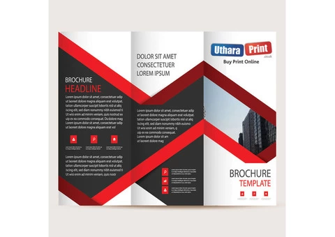 A4 Roll Folded DL Leaflets