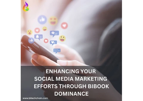 Enhancing Your Social Media Marketing Efforts through Bibook Dominance