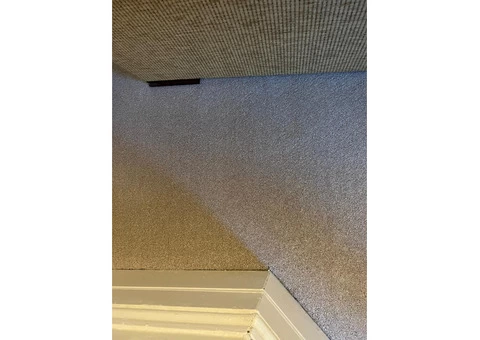 Top-Rated Carpet Cleaning Services in London | 50% Off On All Services