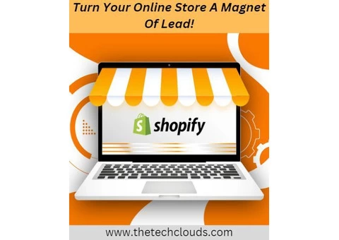 Turn Your Online Store A Magnet Of Lead!