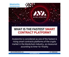 Build a Secure and Decentralized Marketplace with Mobiloitte's Avalanche Blockchain Solutions