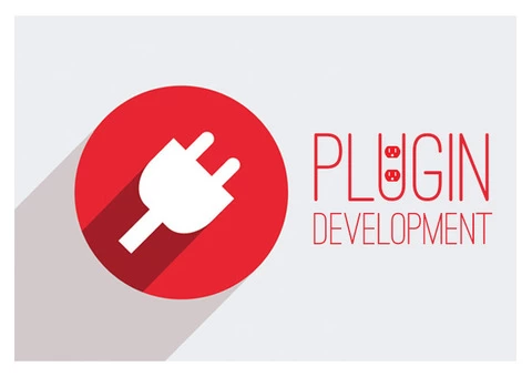 Hire Plus Promotions UK for WordPress Plugin Development!