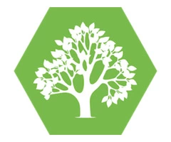 Get Expert Tree Services in Belfast with Belfast Tree Surgeons