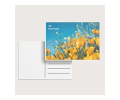 A6 Postcards