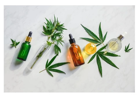 Sports Injury