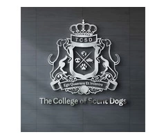 Get Custom Logo Design Services in UK at Unbeatable Prices