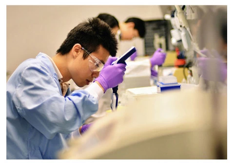 Sanitizer Testing | UK