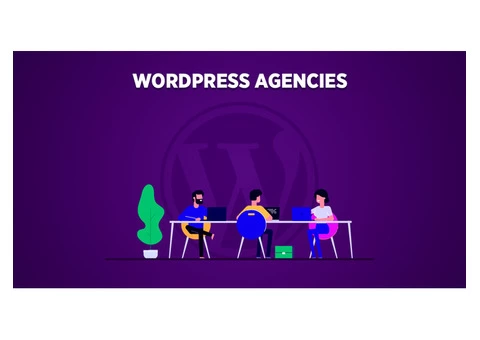 Contact Plus Promotions UK for WordPress Agency in London