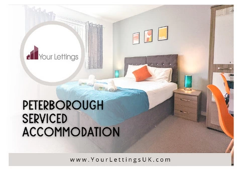Professional Airbnb Management To Maximize Your Rental Income