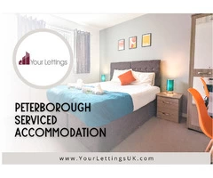 Professional Airbnb Management To Maximize Your Rental Income