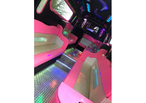 Pink Party Bus Hire Near Me - 2/2