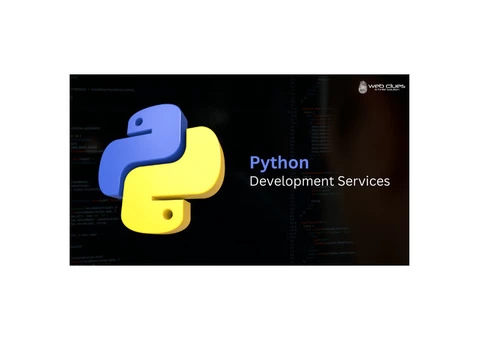 Top Python Development Company
