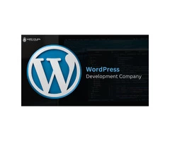 Top Wordpress Website Development Company