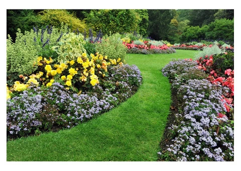 Maximize Your Garden’s Appearance With A.H Garden Services