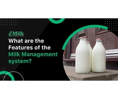 Implement affordable dairy management system