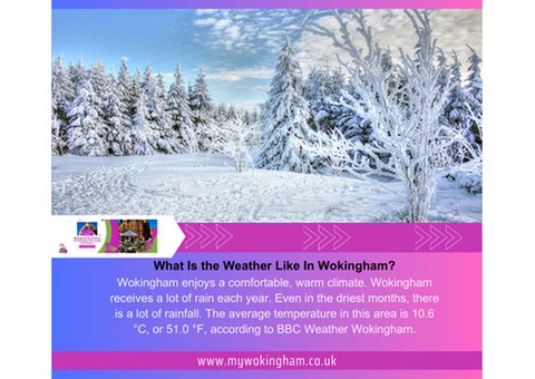 What Is the weather like In Wokingham? - 1/6