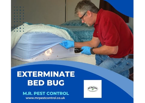 Exterminate bed bug