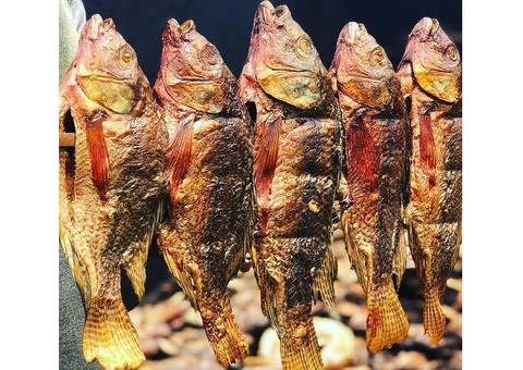 Smoked Dry Fish, Chicken, Goat meats, Cow meats, shrimp, Snails, and other Agro-allied - 2/5