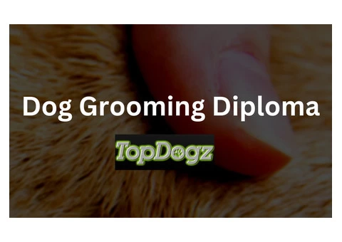 Calling all Dog Lovers in Cheshire! Discover the Art of Dog Grooming with Topdogz!