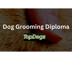 Calling all Dog Lovers in Cheshire! Discover the Art of Dog Grooming with Topdogz!