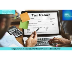 Efficient Income Tax Return Filing Service by MSCO Accountants