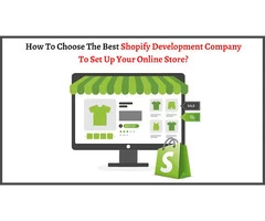 Professional Shopify Development Services | CSSChopper