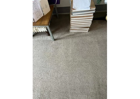 Exceptional Carpet Cleaning in Harrow UK
