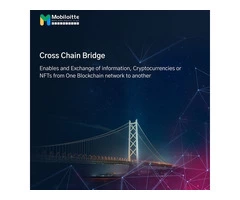 Mobiloitte's Cross-Chain Bridge Solutions
