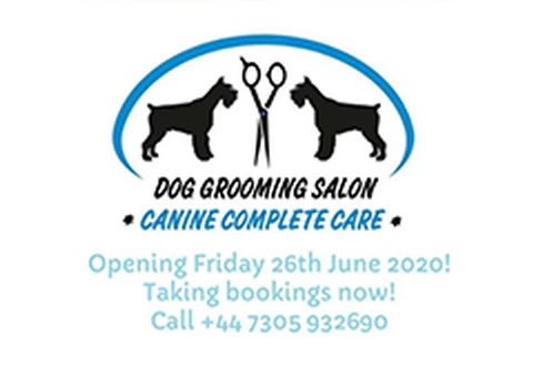 Exceptional Dog Grooming Salon in Cambridgeshire