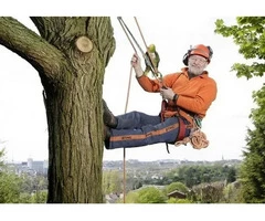 Cherry Picker Hire in Dublin - Reach New Heights!