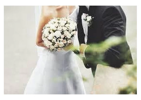 Why Should You Hire a Celebrant? - 5/5
