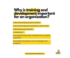 Why  training and development is important in an organisation?