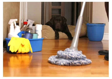 Professional House Cleaning Services in Bristol