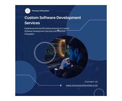 Custom Software Development Services – Precious Infosystem