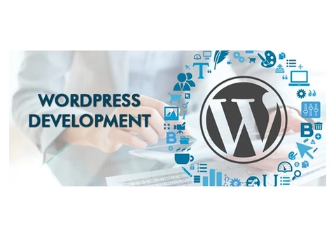 Enjoy an entire suite of services from this WordPress agency!