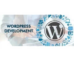 Enjoy an entire suite of services from this WordPress agency!