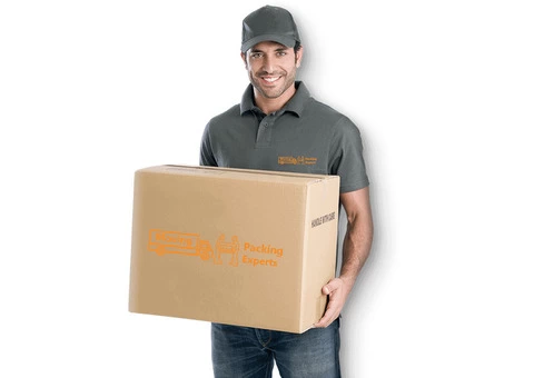 Furniture Removal