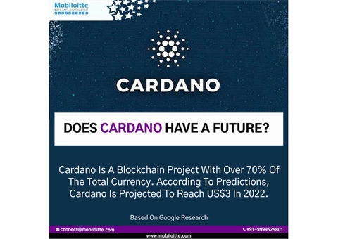 Development Services on Cardano Blockchain at an affordable price