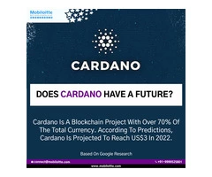 Development Services on Cardano Blockchain at an affordable price