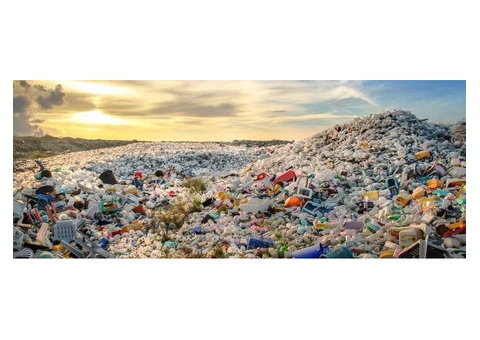 Waste Removal Kingston