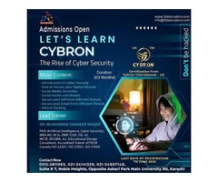 The Rise of Cyber Security